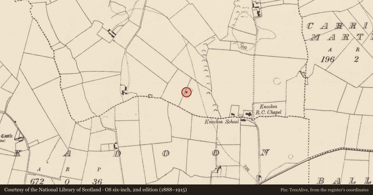 Ordnance Survey six-inch map, 2nd edition (1888–1915) covering the location of Enclosure, Drombanny, County Limerick, with a pin at the register's coordinates