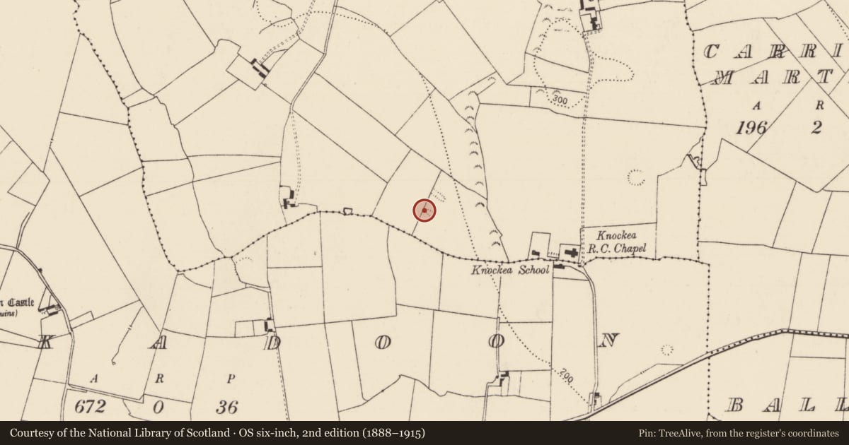 Ordnance Survey six-inch map, 2nd edition (1888–1915) covering the location of Standing stone, Drombanny, County Limerick, with a pin at the register's coordinates