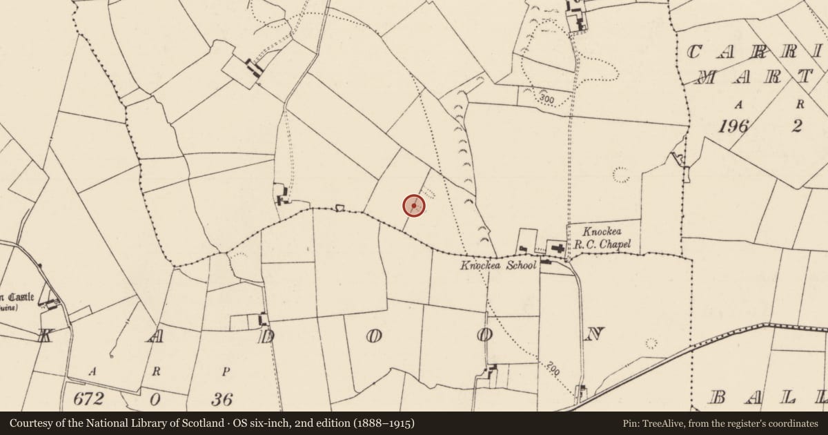 Ordnance Survey six-inch map, 2nd edition (1888–1915) covering the location of Anomalous stone group, Drombanny, County Limerick, with a pin at the register's coordinates