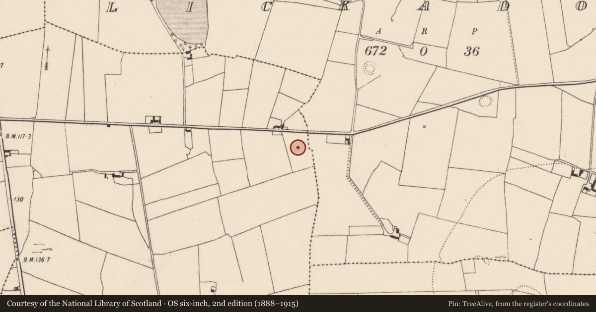 Ordnance Survey six-inch map, 2nd edition (1888–1915) covering the location of Mound, Raheen, County Limerick, with a pin at the register's coordinates