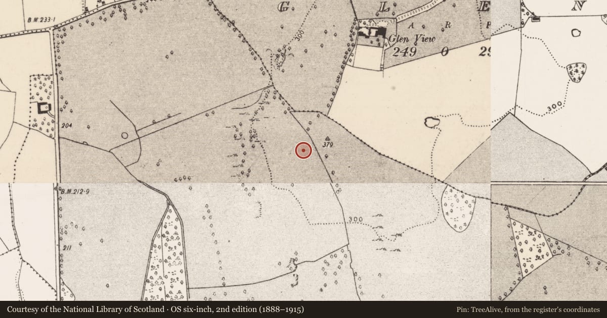 Ordnance Survey six-inch map, 2nd edition (1888–1915) covering the location of Standing stone, Ballynagarde, County Limerick, with a pin at the register's coordinates