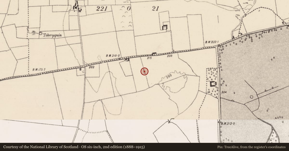 Ordnance Survey six-inch map, 2nd edition (1888–1915) covering the location of Souterrain, Boherload, County Limerick, with a pin at the register's coordinates