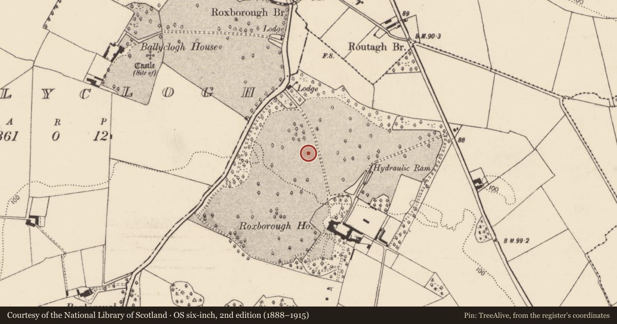 Ordnance Survey six-inch map, 2nd edition (1888–1915) covering the location of Mound, Roxborough, County Limerick, with a pin at the register's coordinates