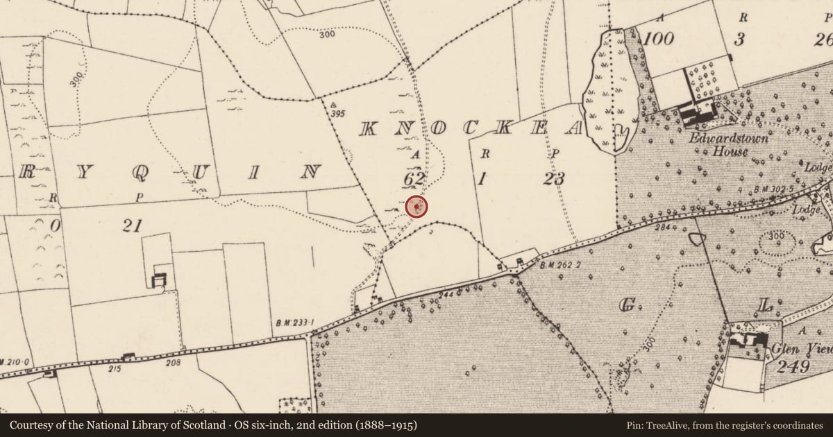 Ordnance Survey six-inch map, 2nd edition (1888–1915) covering the location of Standing stone, Knockea, County Limerick, with a pin at the register's coordinates