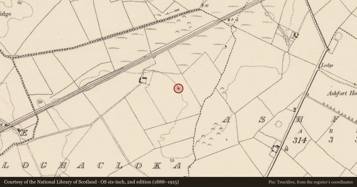 Ordnance Survey six-inch map, 2nd edition (1888–1915) covering the location of Fulacht fia, Cloghacloka, County Limerick, with a pin at the register's coordinates
