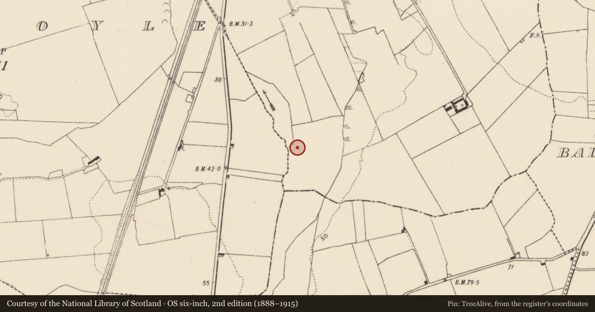 Ordnance Survey six-inch map, 2nd edition (1888–1915) covering the location of Fulacht fia, Rossbrien, County Limerick, with a pin at the register's coordinates