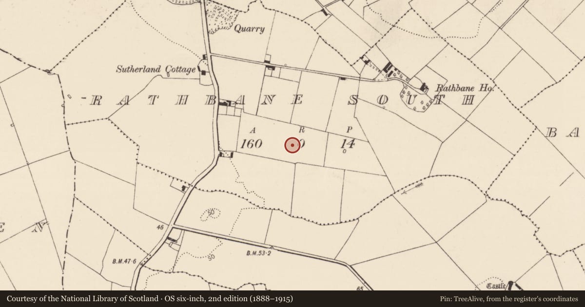 Ordnance Survey six-inch map, 2nd edition (1888–1915) covering the location of Kiln - corn-drying, Rathbane South, County Limerick, with a pin at the register's coordinates