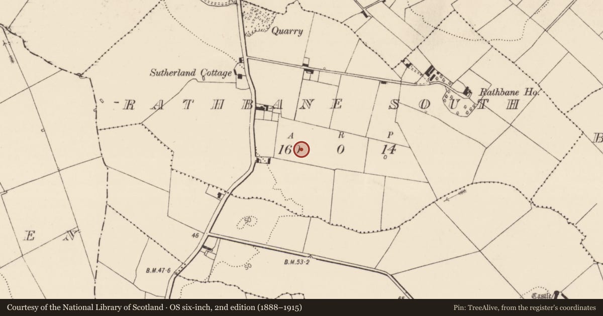 Ordnance Survey six-inch map, 2nd edition (1888–1915) covering the location of Excavation - miscellaneous, Rathbane South, County Limerick, with a pin at the register's coordinates