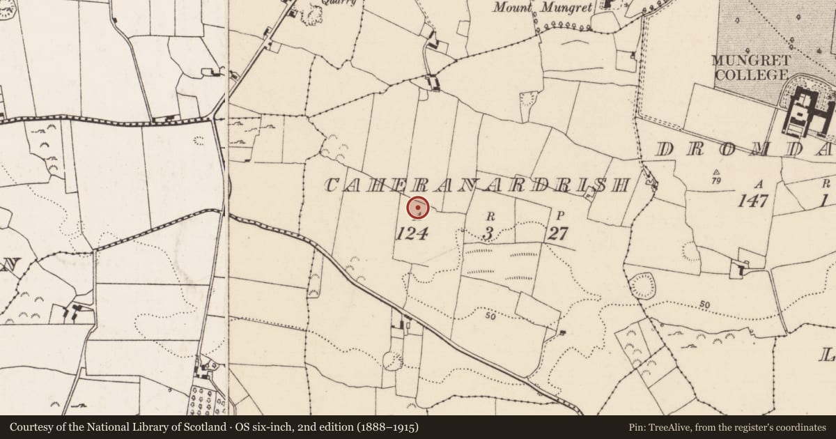 Ordnance Survey six-inch map, 2nd edition (1888–1915) covering the location of Cremation pit, Caheranardrish, County Limerick, with a pin at the register's coordinates
