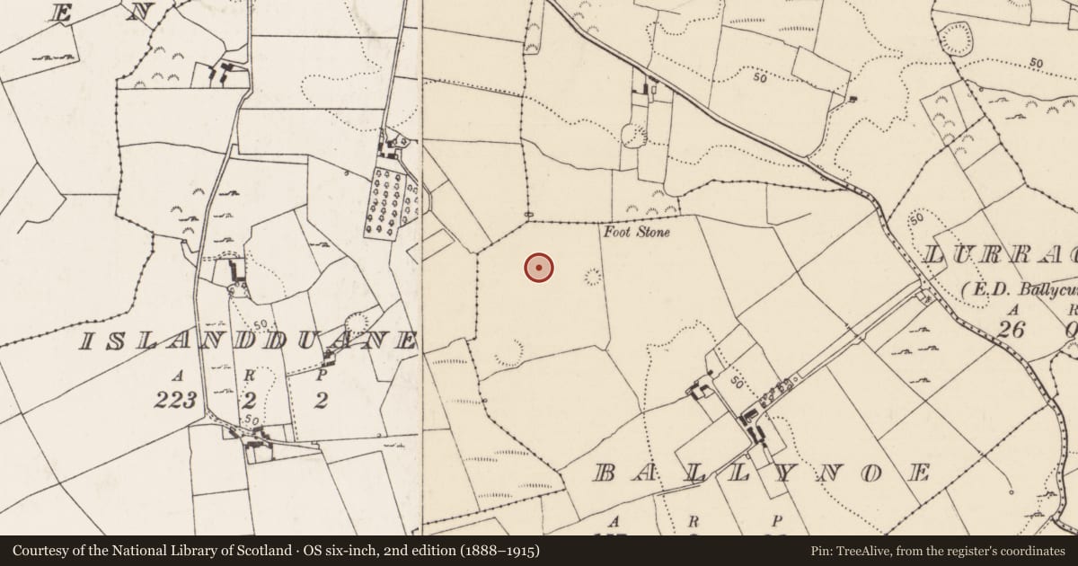 Ordnance Survey six-inch map, 2nd edition (1888–1915) covering the location of Fulacht fia, Ballynoe, County Limerick, with a pin at the register's coordinates
