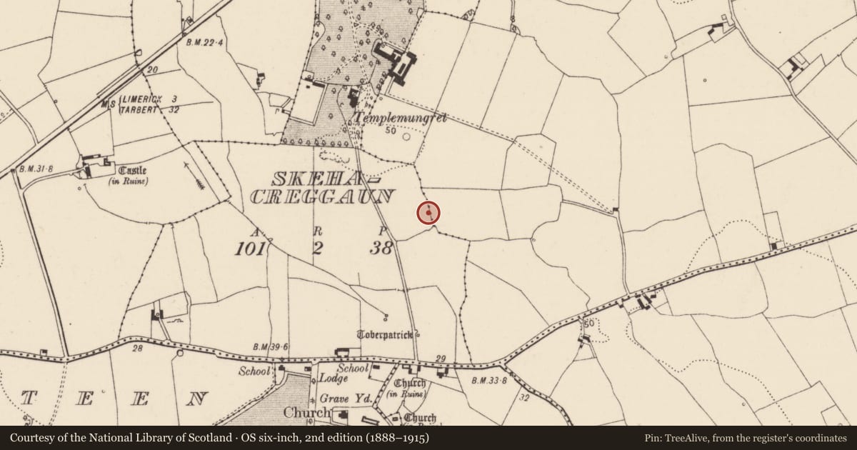 Ordnance Survey six-inch map, 2nd edition (1888–1915) covering the location of Kiln - corn-drying, Skehacreggaun, County Limerick, with a pin at the register's coordinates