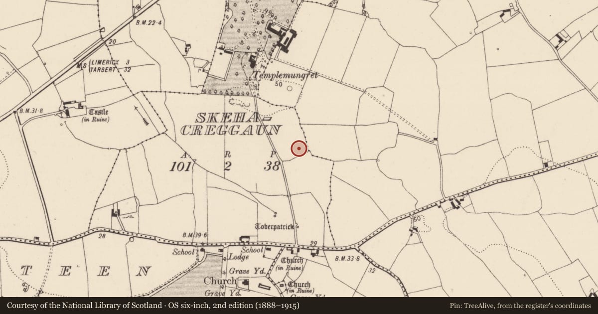 Ordnance Survey six-inch map, 2nd edition (1888–1915) covering the location of Excavation - miscellaneous, Skehacreggaun, County Limerick, with a pin at the register's coordinates