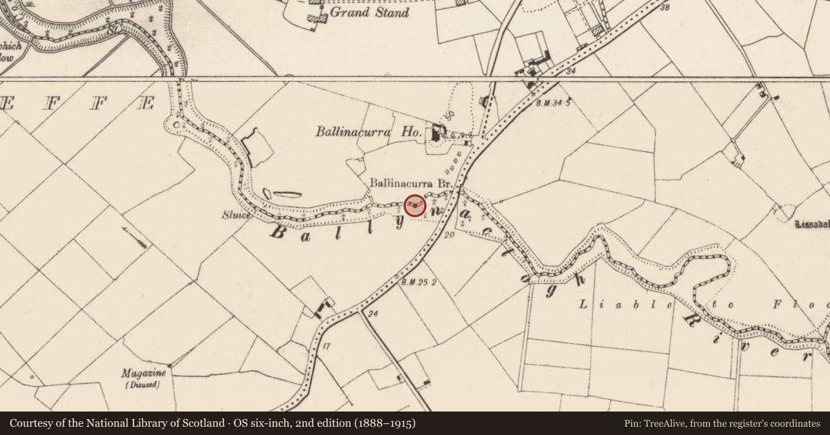 Ordnance Survey six-inch map, 2nd edition (1888–1915) covering the location of Riverine revetment, Ballinacurra (Hart), Ballykeeffe, County Limerick, with a pin at the register's coordinates
