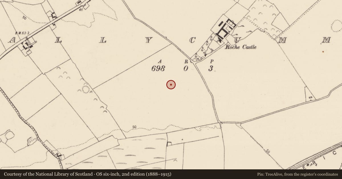 Ordnance Survey six-inch map, 2nd edition (1888–1915) covering the location of Fulacht fia, Ballycummin, County Limerick, with a pin at the register's coordinates