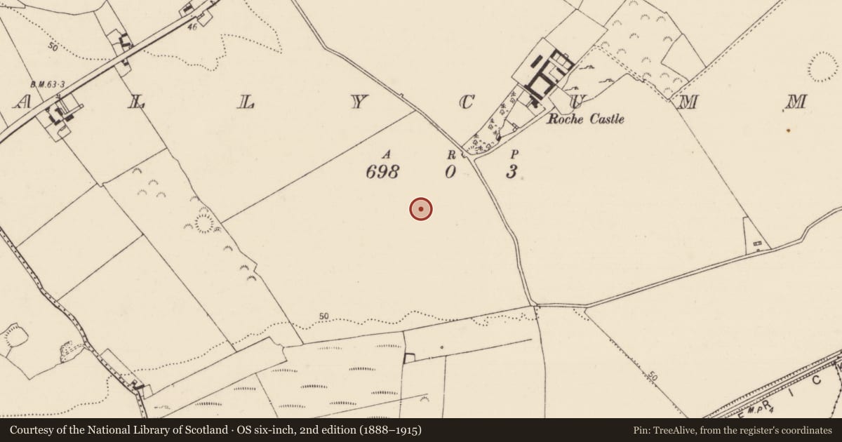Ordnance Survey six-inch map, 2nd edition (1888–1915) covering the location of Fulacht fia, Ballycummin, County Limerick, with a pin at the register's coordinates