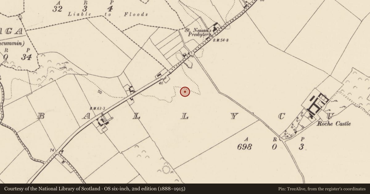 Ordnance Survey six-inch map, 2nd edition (1888–1915) covering the location of Fulacht fia, Ballycummin, County Limerick, with a pin at the register's coordinates