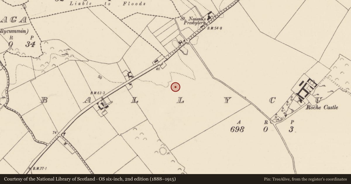 Ordnance Survey six-inch map, 2nd edition (1888–1915) covering the location of Fulacht fia, Ballycummin, County Limerick, with a pin at the register's coordinates