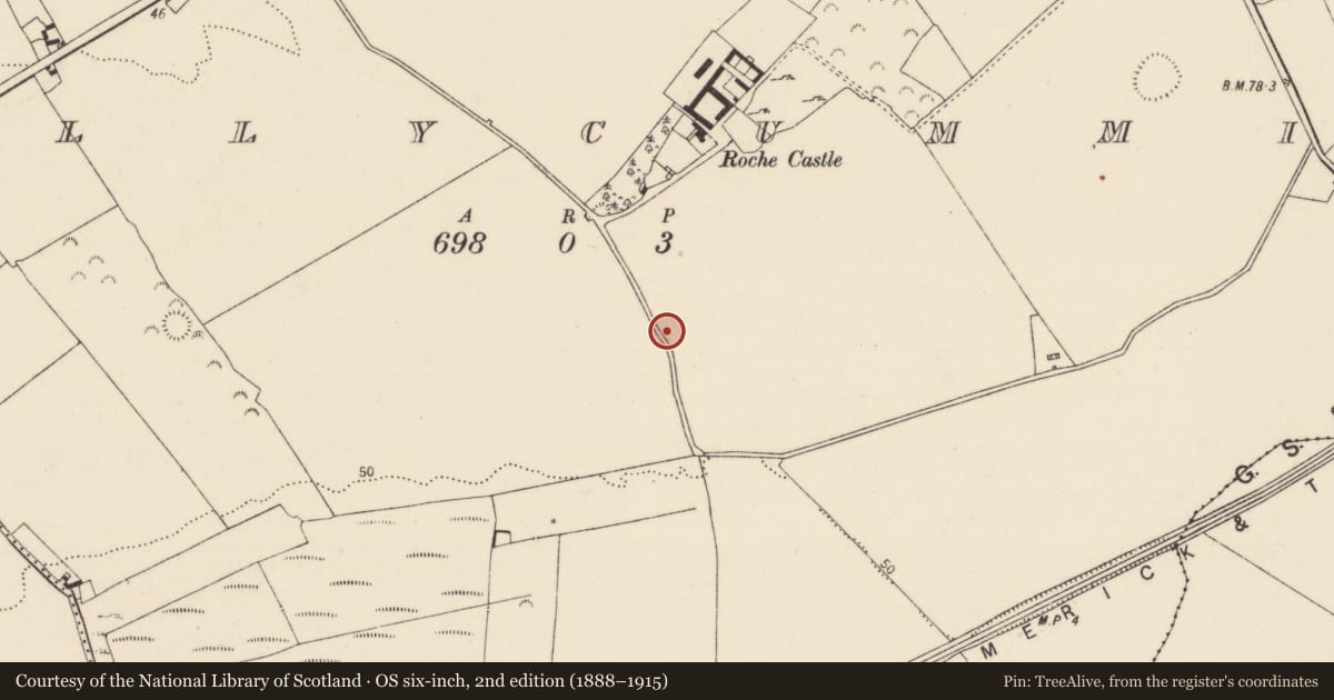 Ordnance Survey six-inch map, 2nd edition (1888–1915) covering the location of Fulacht fia, Ballycummin, County Limerick, with a pin at the register's coordinates