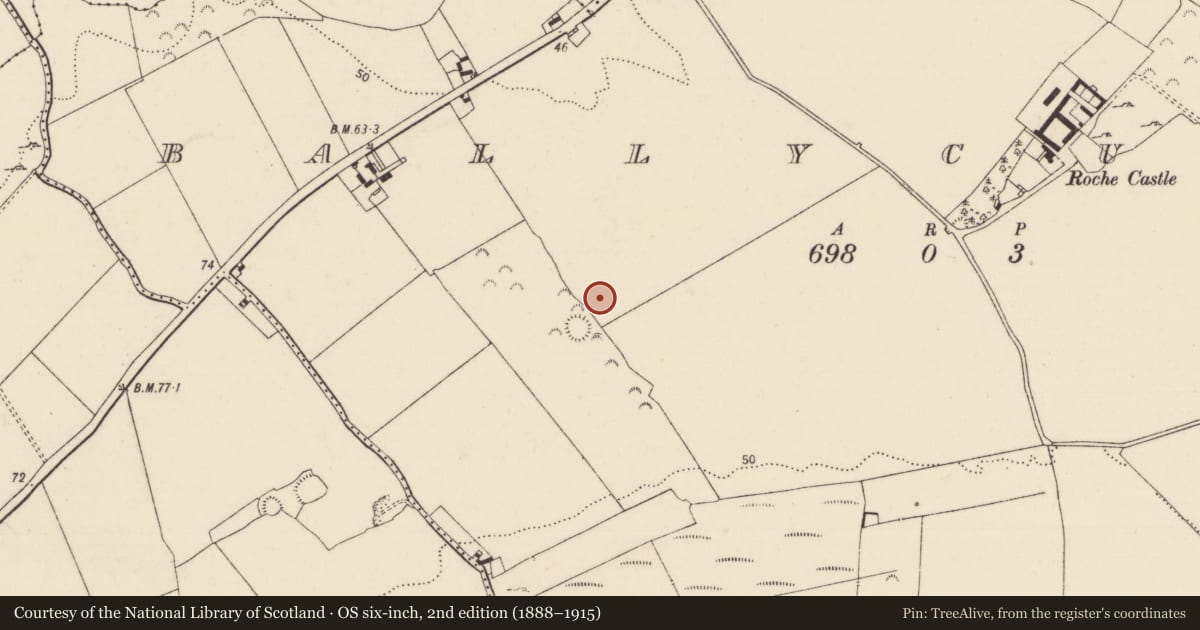 Ordnance Survey six-inch map, 2nd edition (1888–1915) covering the location of Excavation - miscellaneous, Ballycummin, County Limerick, with a pin at the register's coordinates
