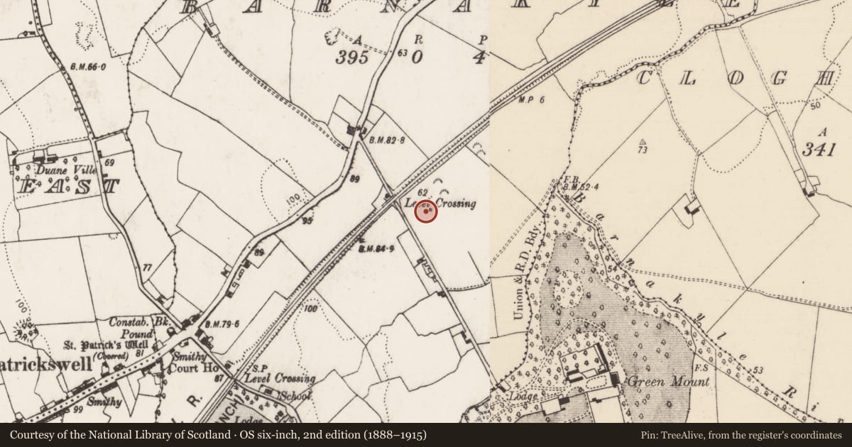 Ordnance Survey six-inch map, 2nd edition (1888–1915) covering the location of Fulacht fia, Barnakyle, County Limerick, with a pin at the register's coordinates
