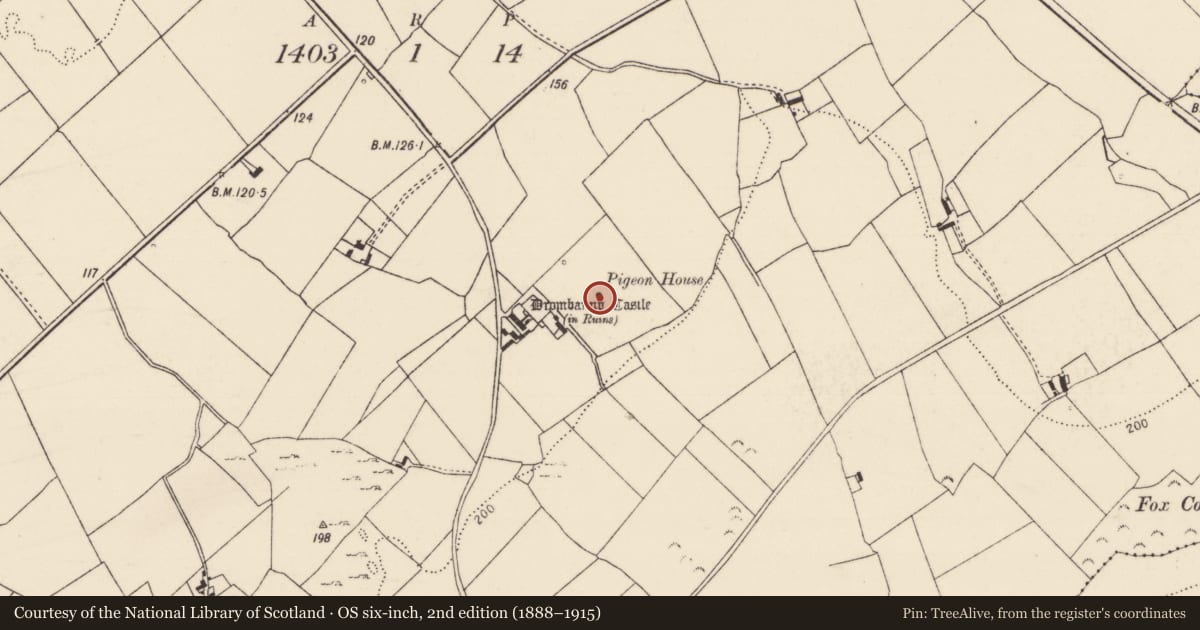 Ordnance Survey six-inch map, 2nd edition (1888–1915) covering the location of Dovecote, Drombanny, County Limerick, with a pin at the register's coordinates