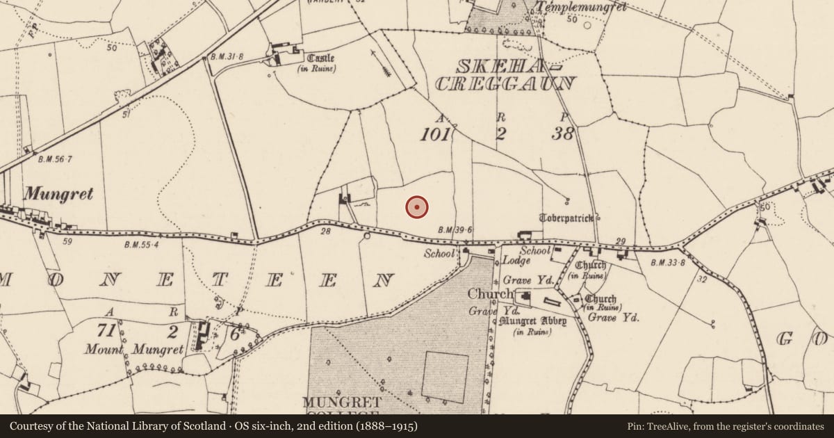 Ordnance Survey six-inch map, 2nd edition (1888–1915) covering the location of Excavation - miscellaneous, Skehacreggaun, County Limerick, with a pin at the register's coordinates