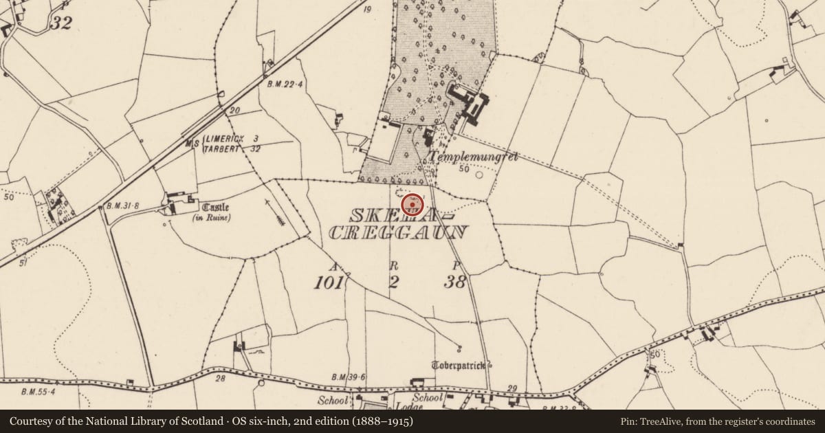Ordnance Survey six-inch map, 2nd edition (1888–1915) covering the location of Excavation - miscellaneous, Skehacreggaun, County Limerick, with a pin at the register's coordinates