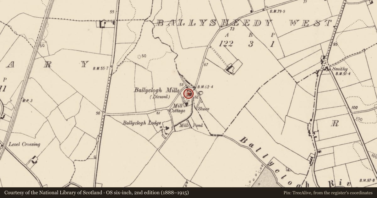 Ordnance Survey six-inch map, 2nd edition (1888–1915) covering the location of Mill - corn, Ballyclogh, County Limerick, with a pin at the register's coordinates