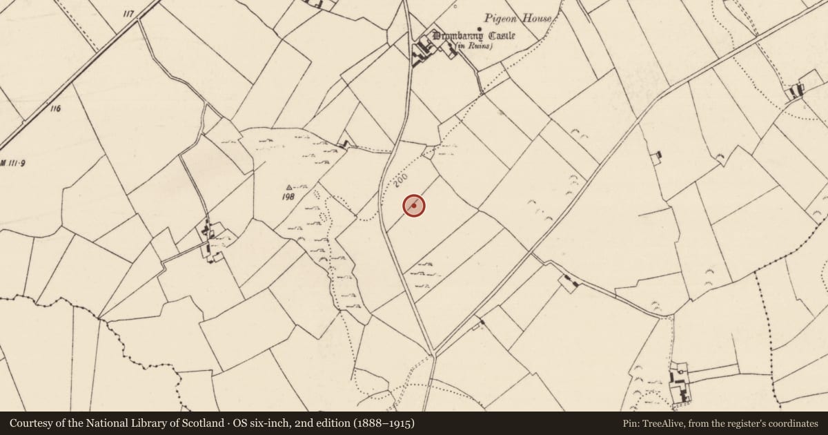 Ordnance Survey six-inch map, 2nd edition (1888–1915) covering the location of Earthwork, Drombanny, County Limerick, with a pin at the register's coordinates
