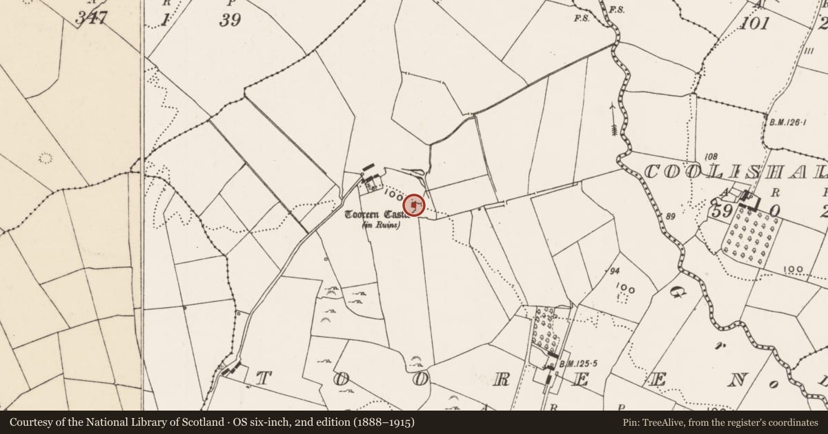 Ordnance Survey six-inch map, 2nd edition (1888–1915) covering the location of Castle - tower house, Tooreen, County Limerick, with a pin at the register's coordinates