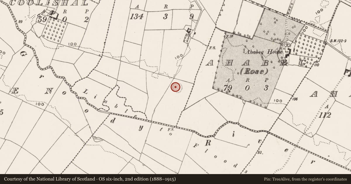 Ordnance Survey six-inch map, 2nd edition (1888–1915) covering the location of Ringfort - rath, Cunnihee, County Limerick, with a pin at the register's coordinates