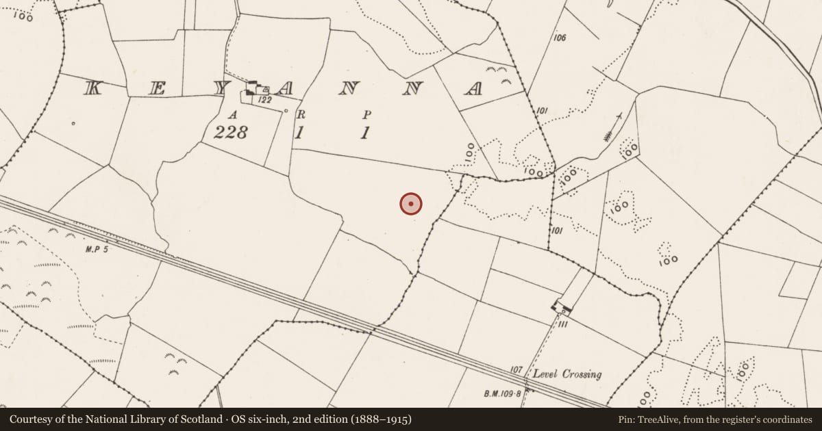 Ordnance Survey six-inch map, 2nd edition (1888–1915) covering the location of Enclosure, Keyanna, County Limerick, with a pin at the register's coordinates