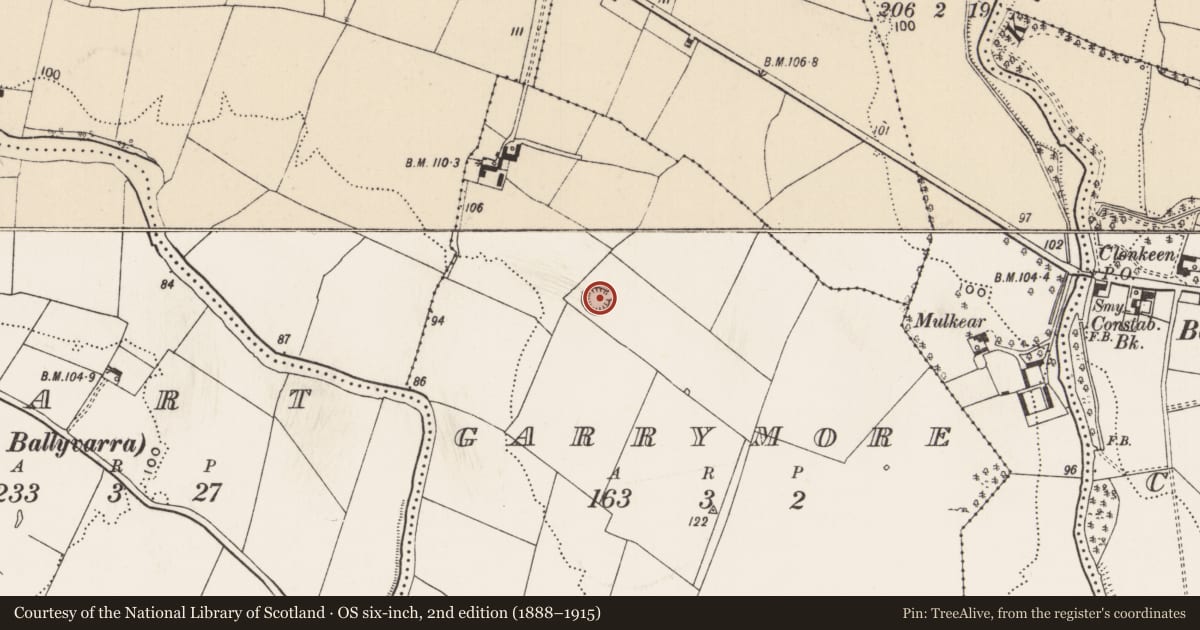 Ordnance Survey six-inch map, 2nd edition (1888–1915) covering the location of Ringfort - rath, Garrymore, County Limerick, with a pin at the register's coordinates