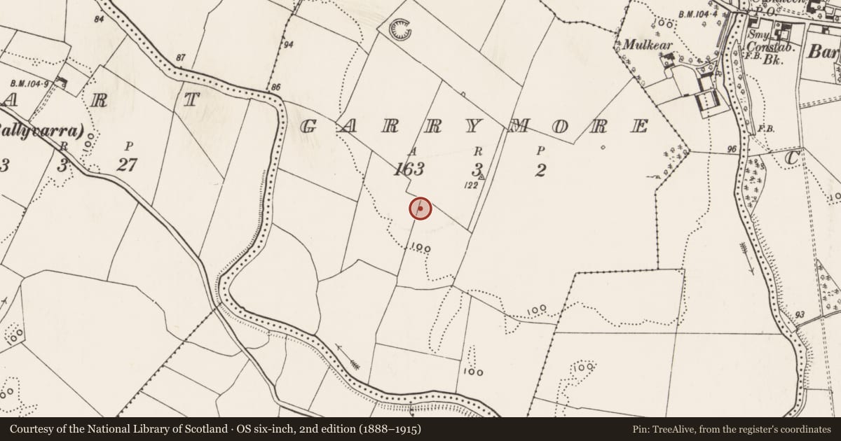 Ordnance Survey six-inch map, 2nd edition (1888–1915) covering the location of Ringfort - rath, Garrymore, County Limerick, with a pin at the register's coordinates