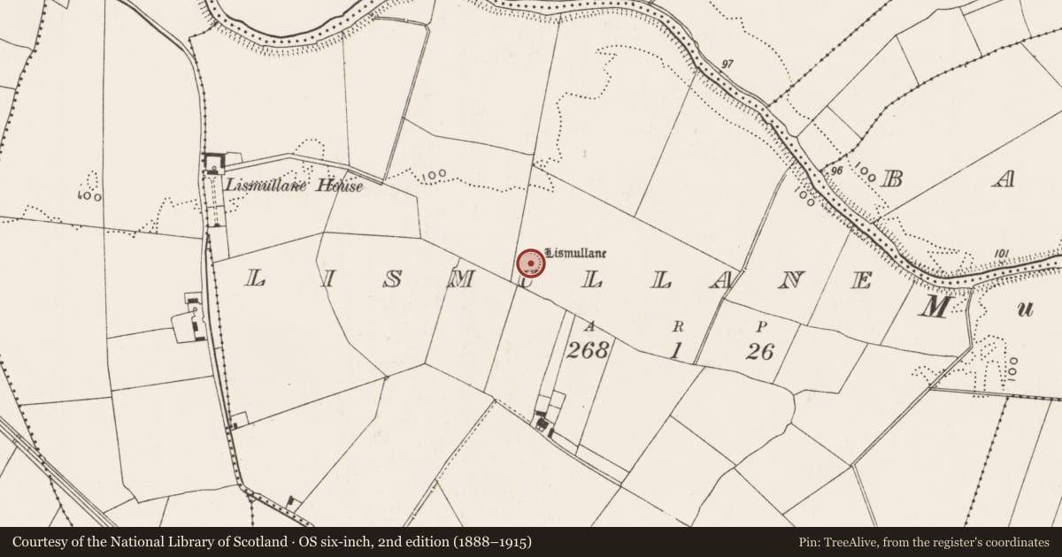 Ordnance Survey six-inch map, 2nd edition (1888–1915) covering the location of Ringfort - rath, Lismullane, County Limerick, with a pin at the register's coordinates