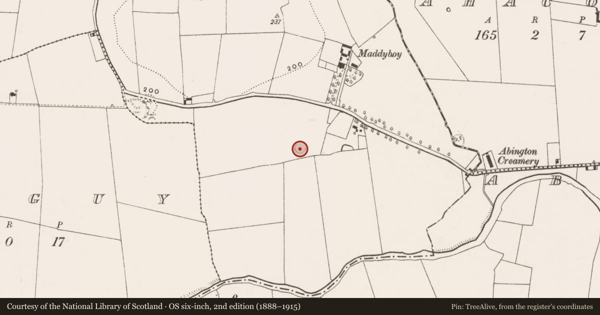 Ordnance Survey six-inch map, 2nd edition (1888–1915) covering the location of Ringfort - rath, Maddyboy, County Limerick, with a pin at the register's coordinates