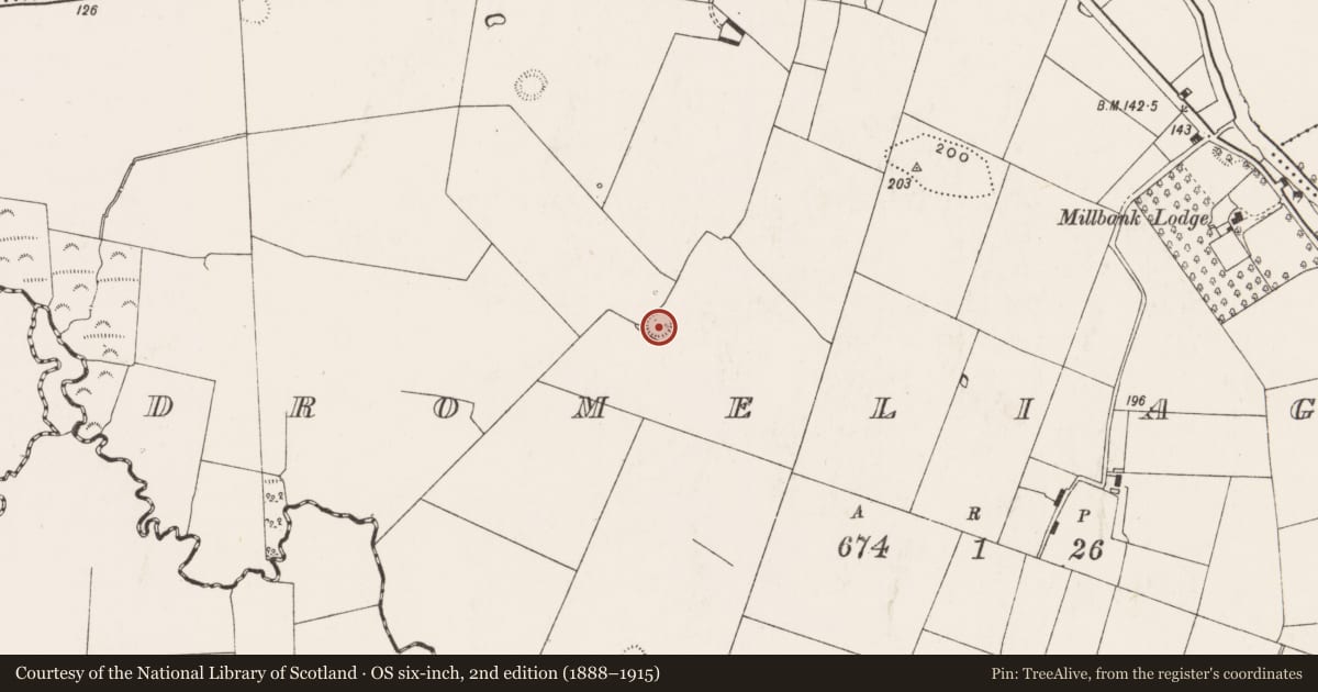 Ordnance Survey six-inch map, 2nd edition (1888–1915) covering the location of Ringfort - rath, Dromeliagh, County Limerick, with a pin at the register's coordinates