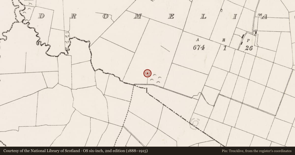 Ordnance Survey six-inch map, 2nd edition (1888–1915) covering the location of Ringfort - rath, Dromeliagh, County Limerick, with a pin at the register's coordinates