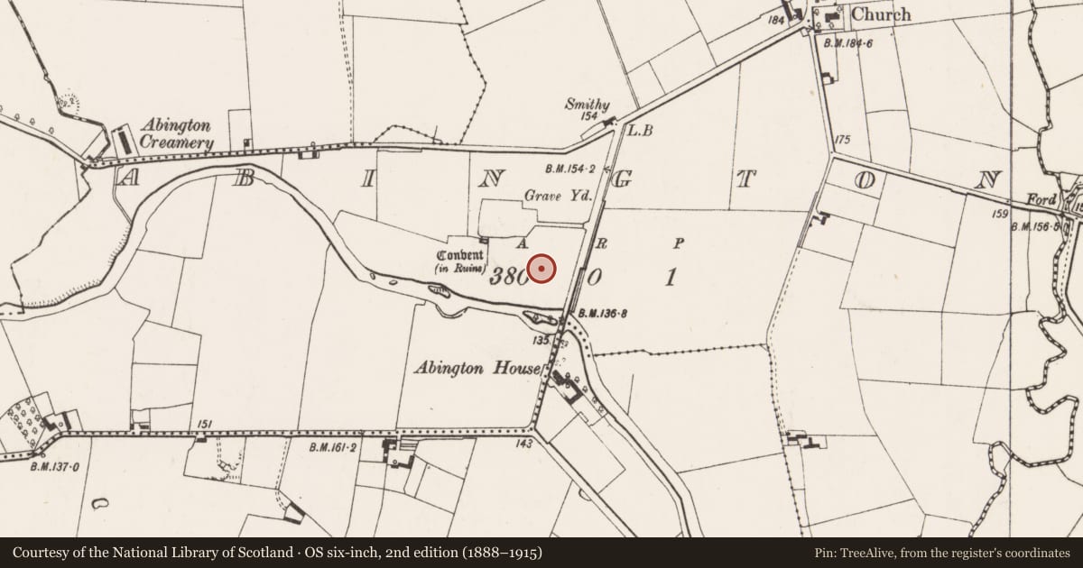 Ordnance Survey six-inch map, 2nd edition (1888–1915) covering the location of Graveyard, Abington, County Limerick, with a pin at the register's coordinates