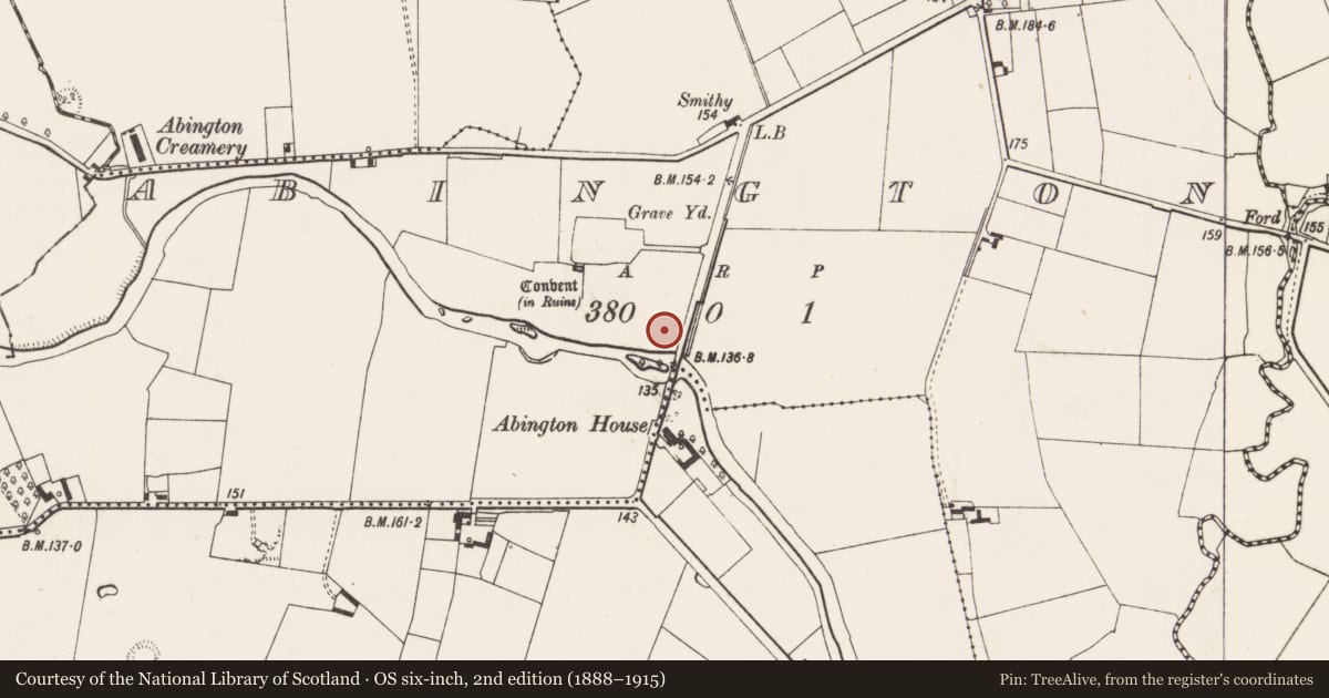 Ordnance Survey six-inch map, 2nd edition (1888–1915) covering the location of Castle - unclassified, Abington, County Limerick, with a pin at the register's coordinates