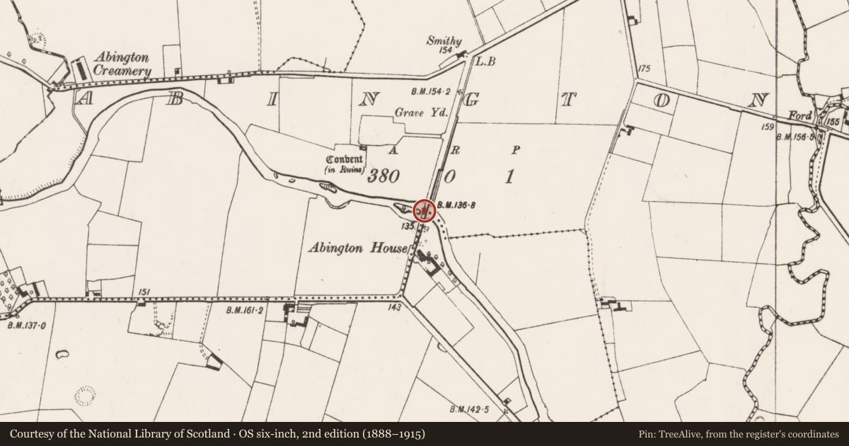 Ordnance Survey six-inch map, 2nd edition (1888–1915) covering the location of Inscribed stone, Abington, County Limerick, with a pin at the register's coordinates