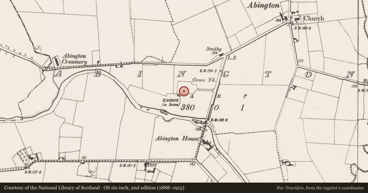 Ordnance Survey six-inch map, 2nd edition (1888–1915) covering the location of Headstone, Abington, County Limerick, with a pin at the register's coordinates