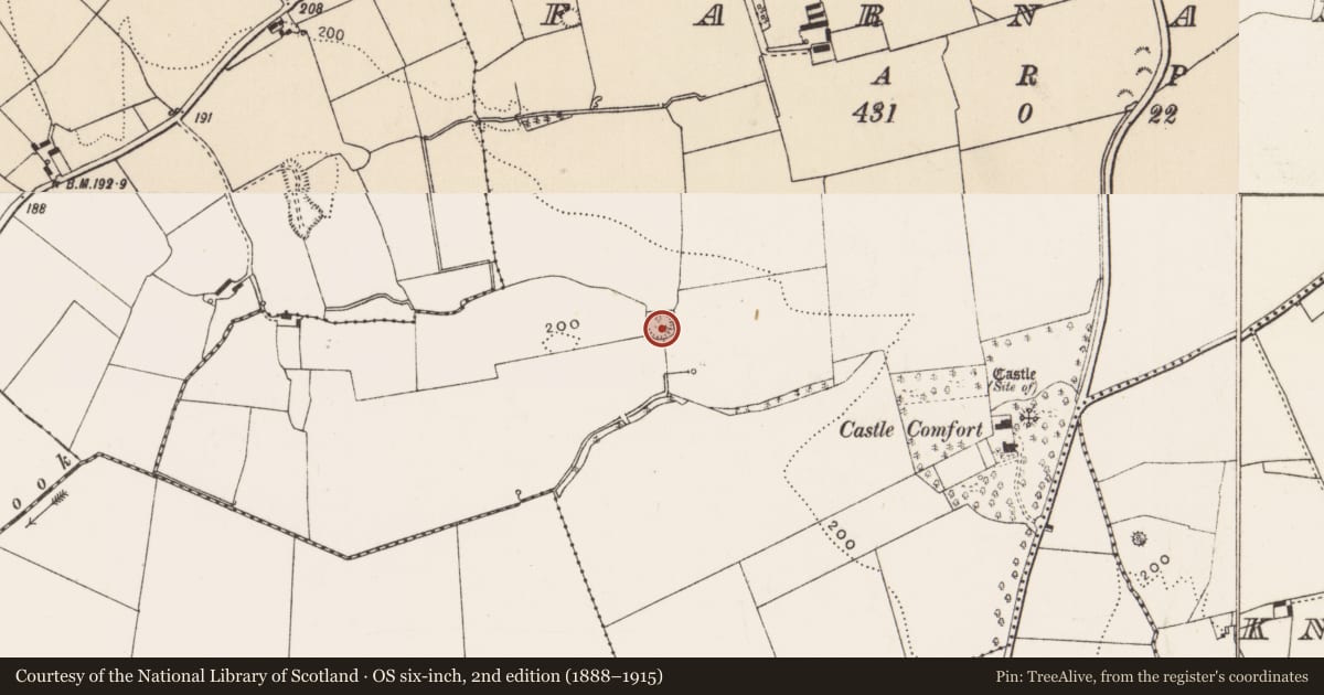 Ordnance Survey six-inch map, 2nd edition (1888–1915) covering the location of Ringfort - rath, Farnane, County Limerick, with a pin at the register's coordinates