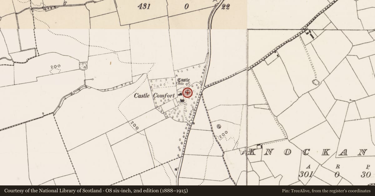 Ordnance Survey six-inch map, 2nd edition (1888–1915) covering the location of Castle - motte, Farnane, County Limerick, with a pin at the register's coordinates