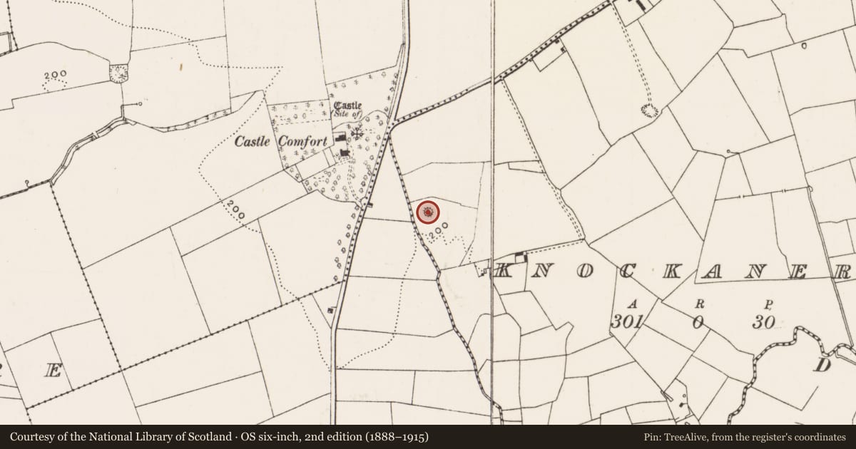 Ordnance Survey six-inch map, 2nd edition (1888–1915) covering the location of Ringfort - rath, Knockanerry, County Limerick, with a pin at the register's coordinates