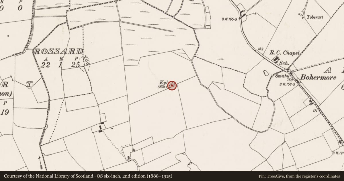 Ordnance Survey six-inch map, 2nd edition (1888–1915) covering the location of Children's burial ground, Rossard, County Limerick, with a pin at the register's coordinates