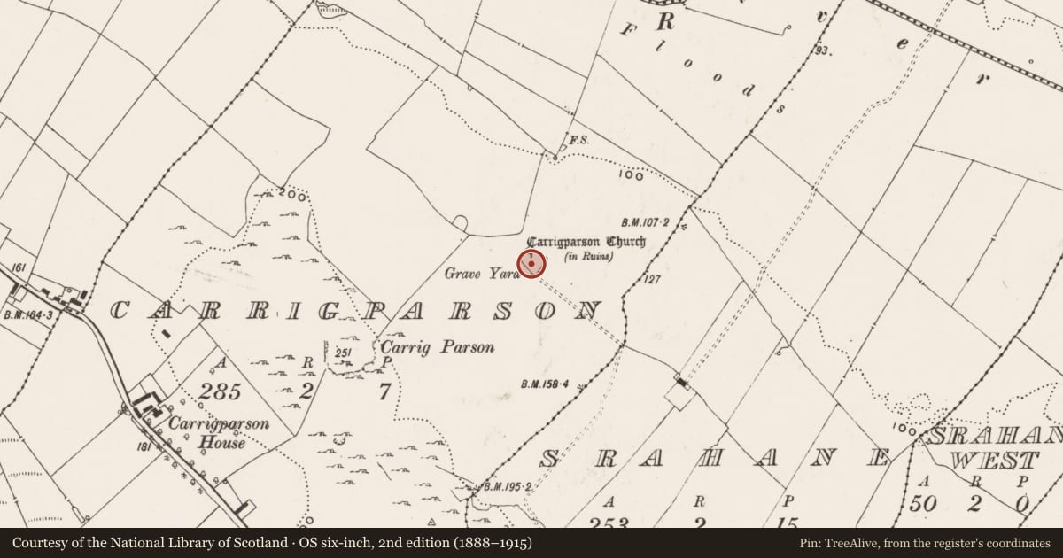 Ordnance Survey six-inch map, 2nd edition (1888–1915) covering the location of Graveyard, Carrigparson, County Limerick, with a pin at the register's coordinates