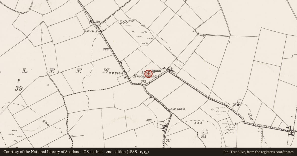 Ordnance Survey six-inch map, 2nd edition (1888–1915) covering the location of Stone circle, Highpark, County Limerick, with a pin at the register's coordinates