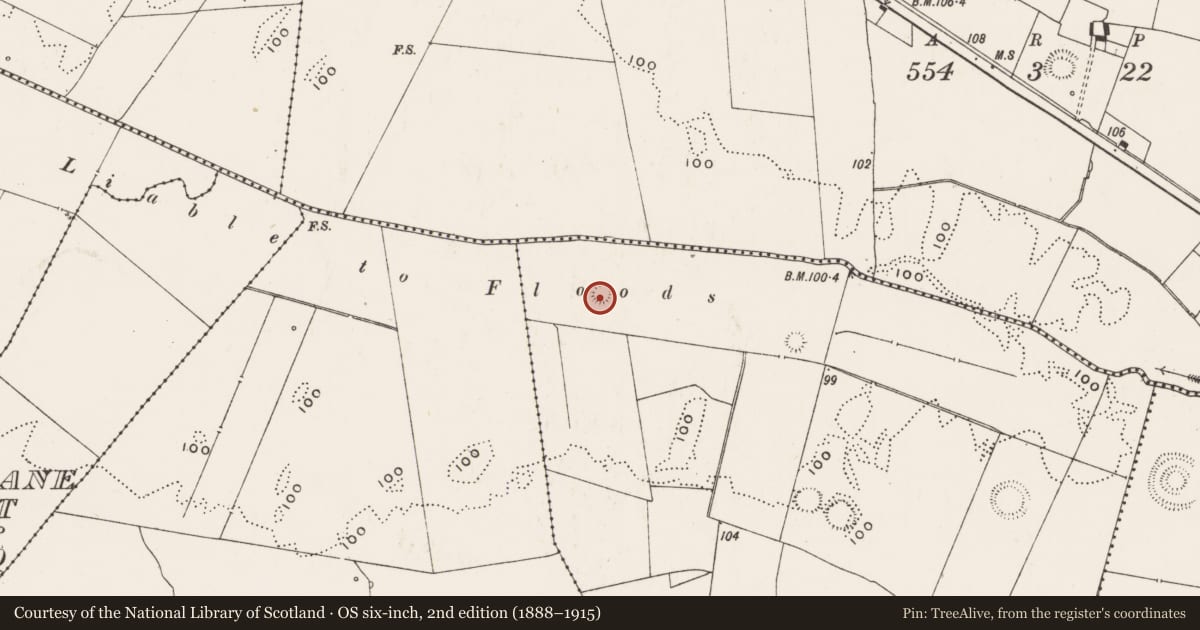 Ordnance Survey six-inch map, 2nd edition (1888–1915) covering the location of Ringfort - rath, Highpark, County Limerick, with a pin at the register's coordinates