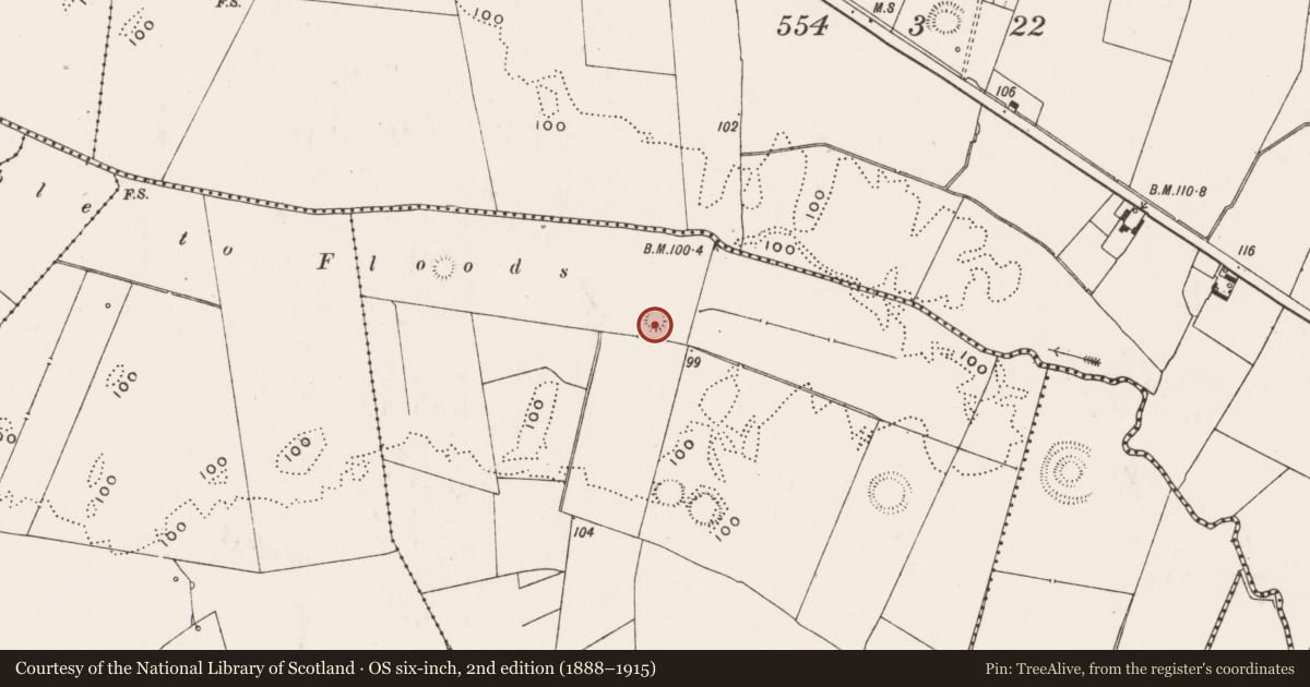 Ordnance Survey six-inch map, 2nd edition (1888–1915) covering the location of Ringfort - rath, Highpark, County Limerick, with a pin at the register's coordinates